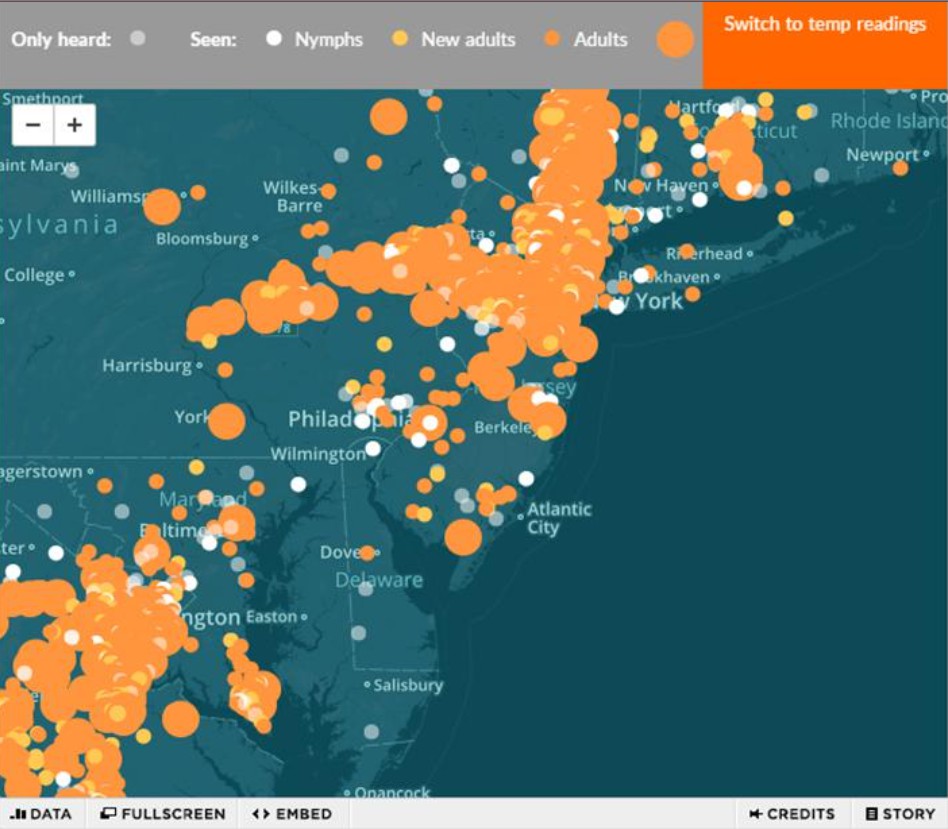 WYNC는 1750대에서 측정된 데이터를 시민들로부터 전송받아 17년매미 출현 데이터를 시각화해 제공한다