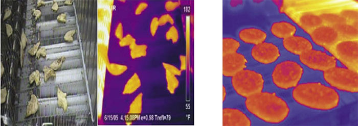 오븐구이 식품이나 전자레인지 조리육의 조리 온도 검사 장면.