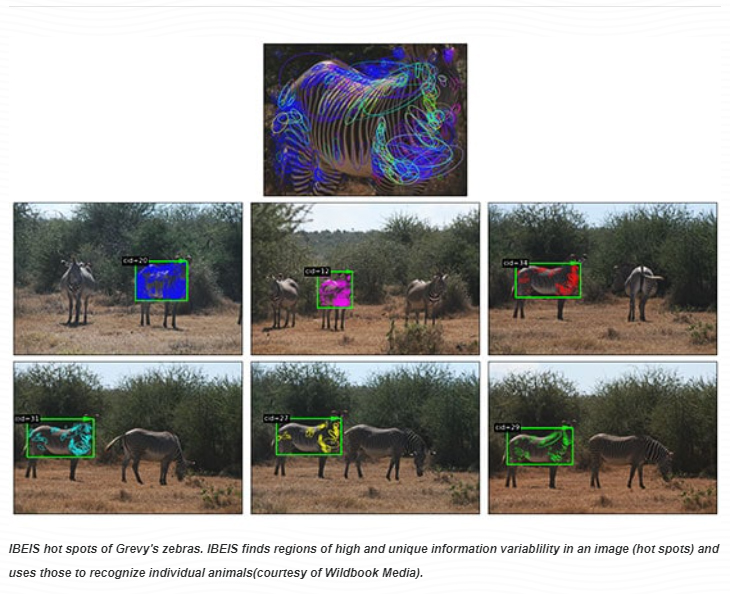컴퓨터 생태학자 타냐 버거울프(Tanya Berger-Wolf)