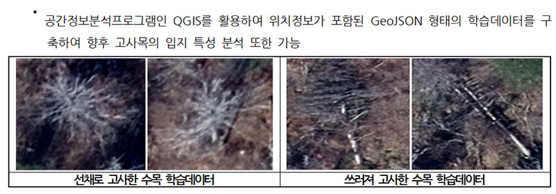 고사목정보 인공지능