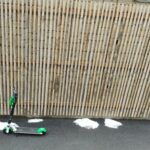 20210206_112754-킥보드 대나무밭