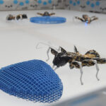 HANNOVER MESSE 2015, 13. – 17. April