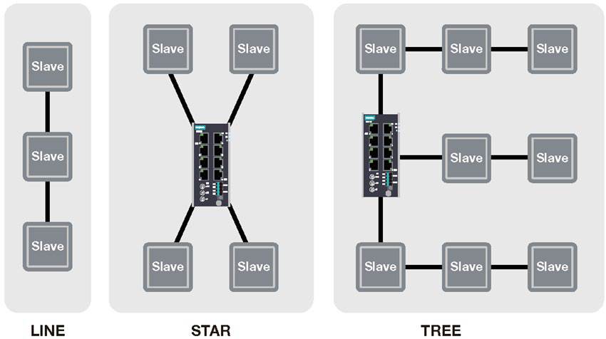 라인, 스타, 트리 구조